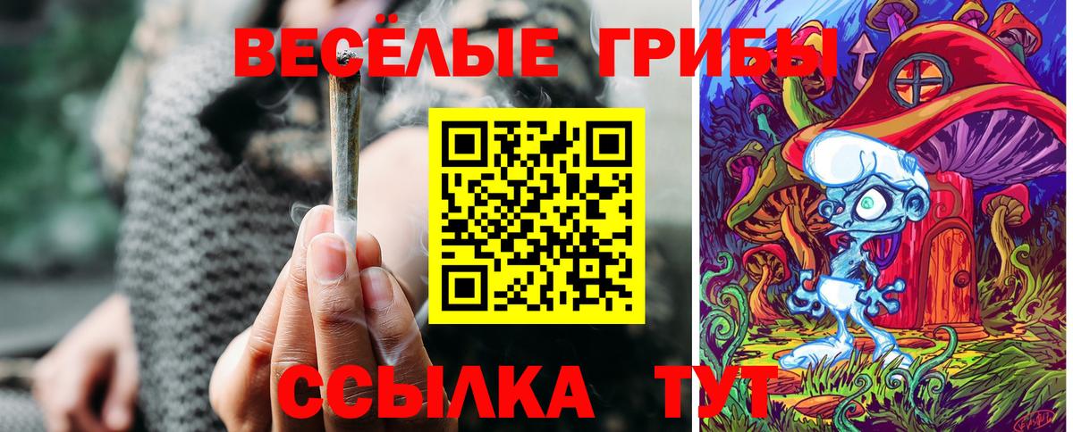Галлюциногенные грибы ЛСД Арзамас
