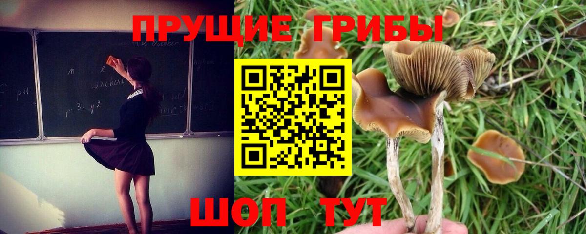 Марихуана  ГАШ  Арзамас  Вход с VPN  Cocaine  Гашиш  МЕФ кристаллы  Alpha PVP СК кристаллы 